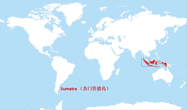 世界地图标注 Sumatra